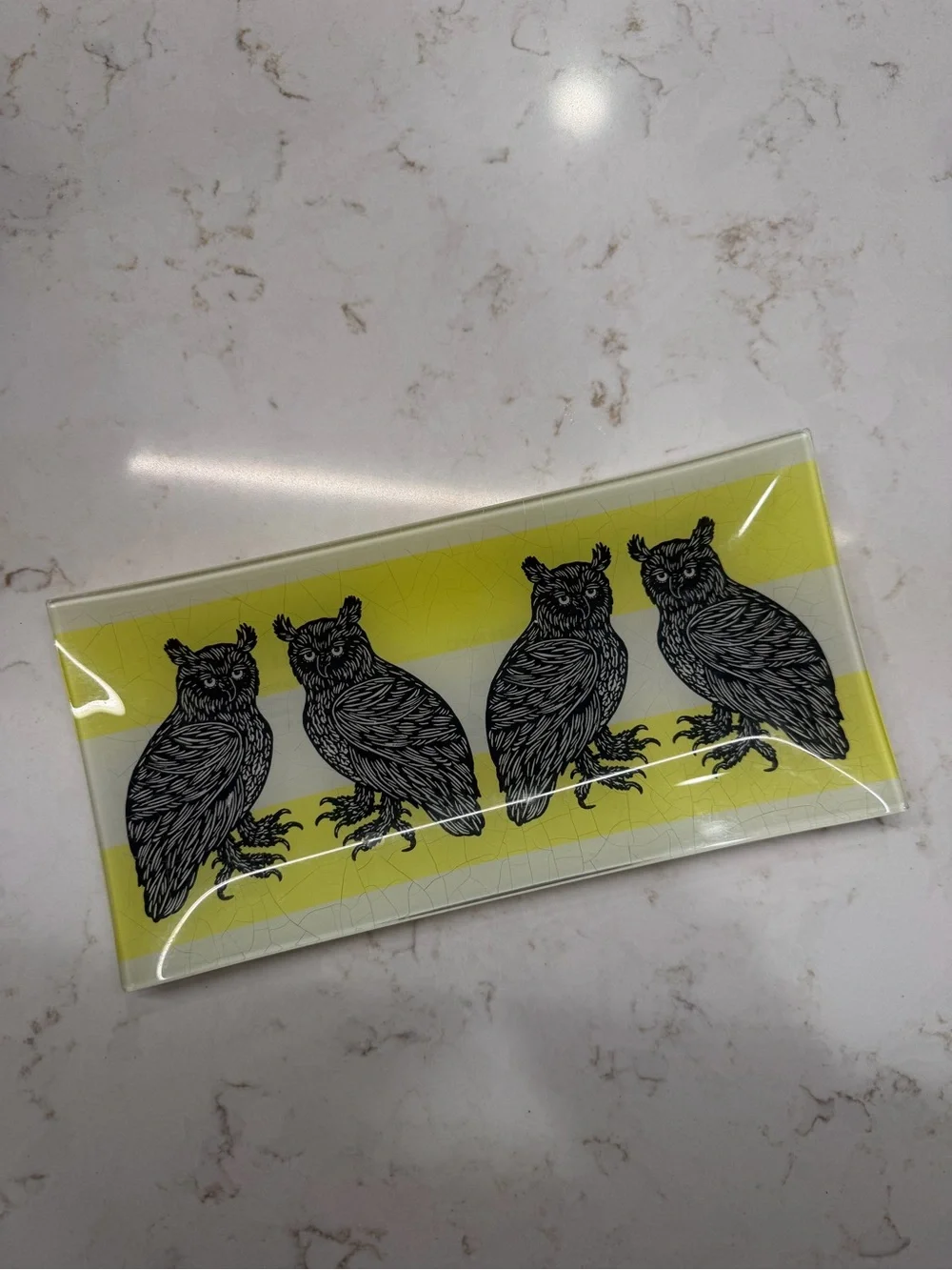 West Elm Patch NYC Owl Decorative Glass Tray